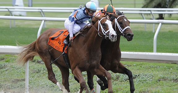 Peter Pan Wagering: Summer Front Looks Primed off Lexington to Score