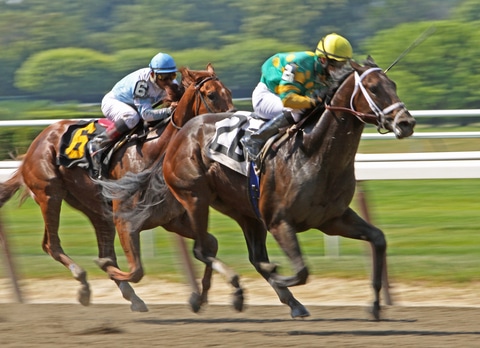 Creative Minister Preps for Belmont Stakes