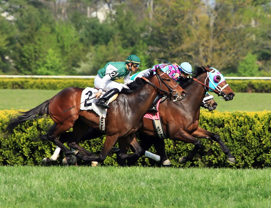 Belmont Park Wagering: Point of Entry Looks for Treasure in Man o’ War