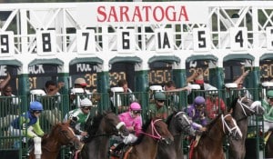 A field of eight line up in Wednesday's Birdstone at Saratoga. © Cheryl Quigley | Dreamstime.com