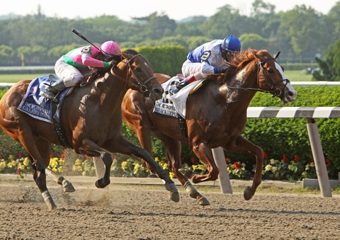 Super Saturday Wagering: Stars Come Out in Breeders’ Cup Challenge Races