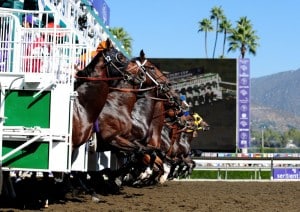 Eight go to the post in Saturday's Gold Cup at Santa Anita, a Breeders' Cup Challenge race. (Photo credit: Breeders' Cup Ltd.)