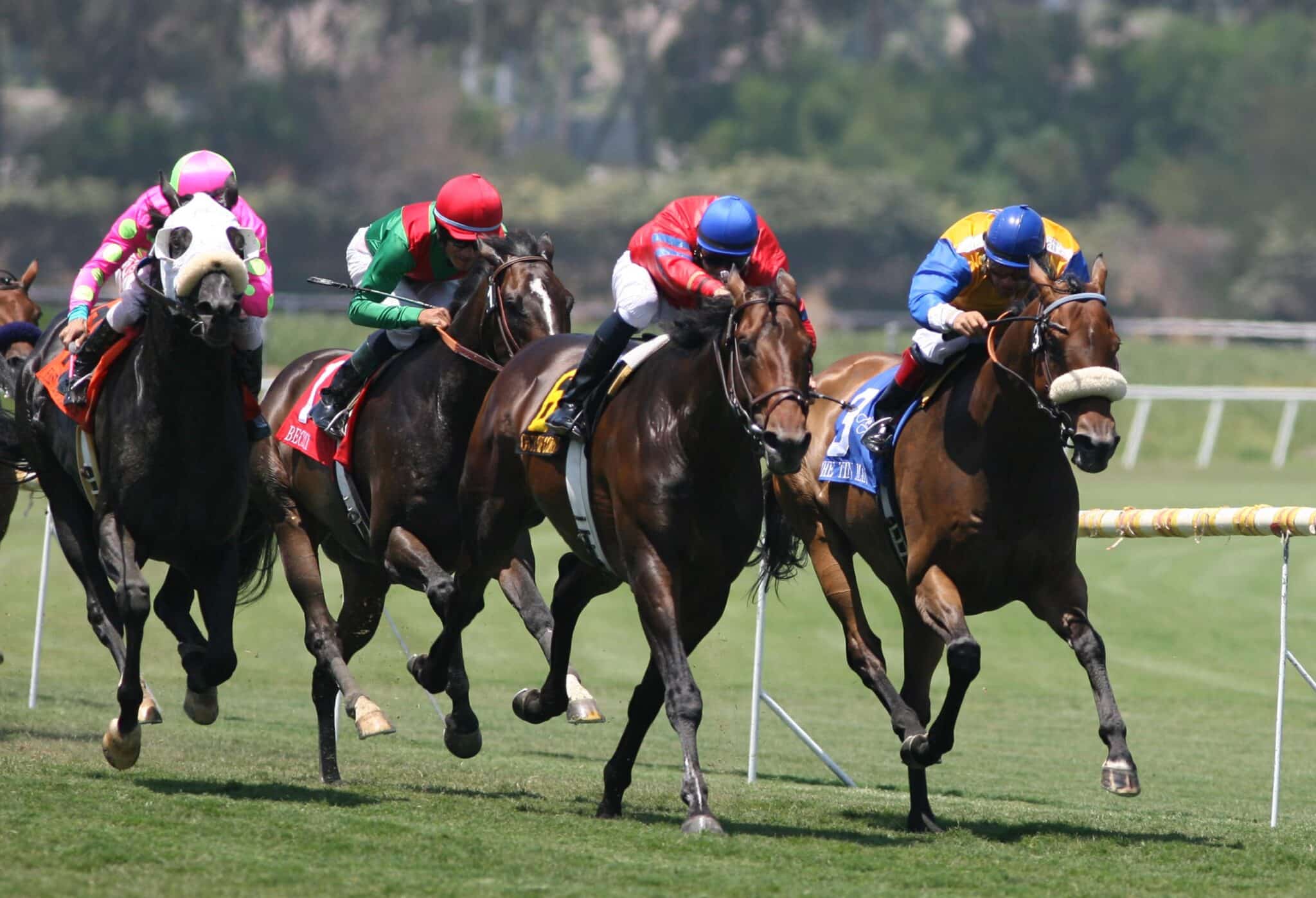 Tvg Horse Racing Betting Online