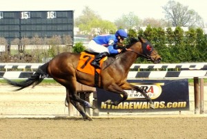 Saginaw was one of David Jacobson's best runners until he broke down after taking a bad step. (Photo credit: Drawing Away Stable)