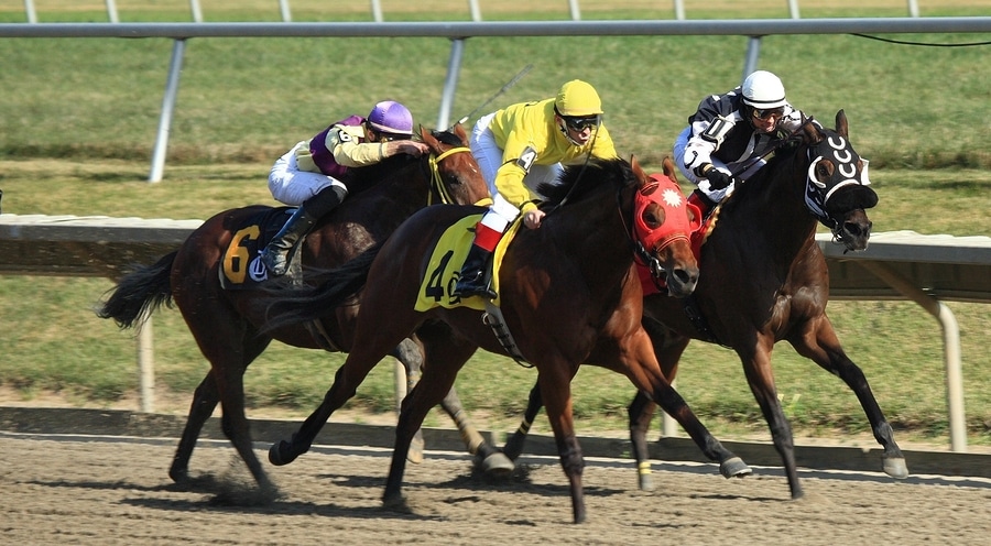 Proxy and Promise in Ohio Derby at Thistledown
