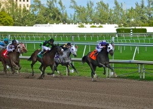 Nine Claiming Crown races are on tap on opening day at Gulfstream Park.  (Photo credit Bigstock).