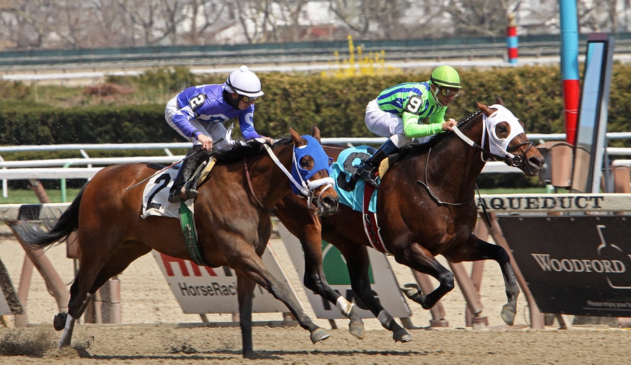 Aqueduct Wagering Picks: Little Rocket Looks to be Ruthless at Big A