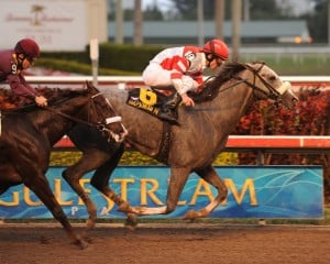 A field of six line up at Gulfstream Park in the $350,000 Holy Bull (G3) at Gulfstream Park. (Photo: Gulfstream Park)