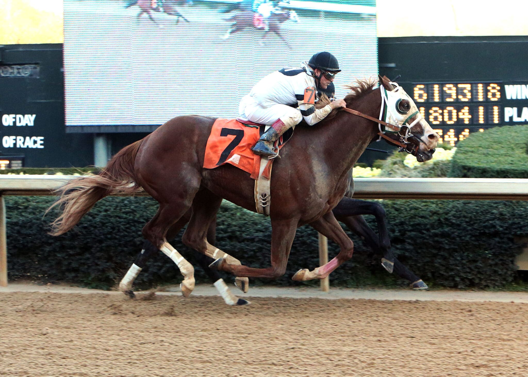 2013 Kentucky Derby Point Standings: Black Onyx, Govenor Charlie Join Party