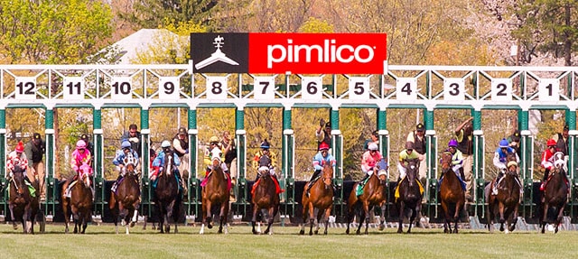 Preakness Betting: Fillies Take Stage on Black Eyed Susan Day