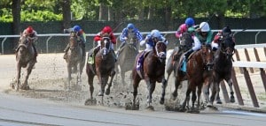 Monday's Big Apple Showcase Day at Belmont Park may be run over a wet track (photo credit: © Cheryl Quigley | Dreamstime.com)
