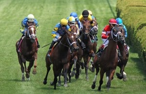 A field of nine will line up in the Red Smith Handicap[ (G3), the final graded turf stake in New York this year. (© Cheryl Quigley | Dreamstime.com)