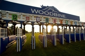 A field of 13 will line up in Sunday's $1 million Queen's Plate (photo credit: Woodbine Entertainment)