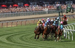 10 line up in the $500,000 Diana (G1) over the Spa turf on Saturday. (photo credit © Cheryl Quigley | Dreamstime.com)