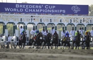Post positions have been drawn for the 2016 Breeders' Ciup (Photo credit: Breeders' Cup Ltd.)