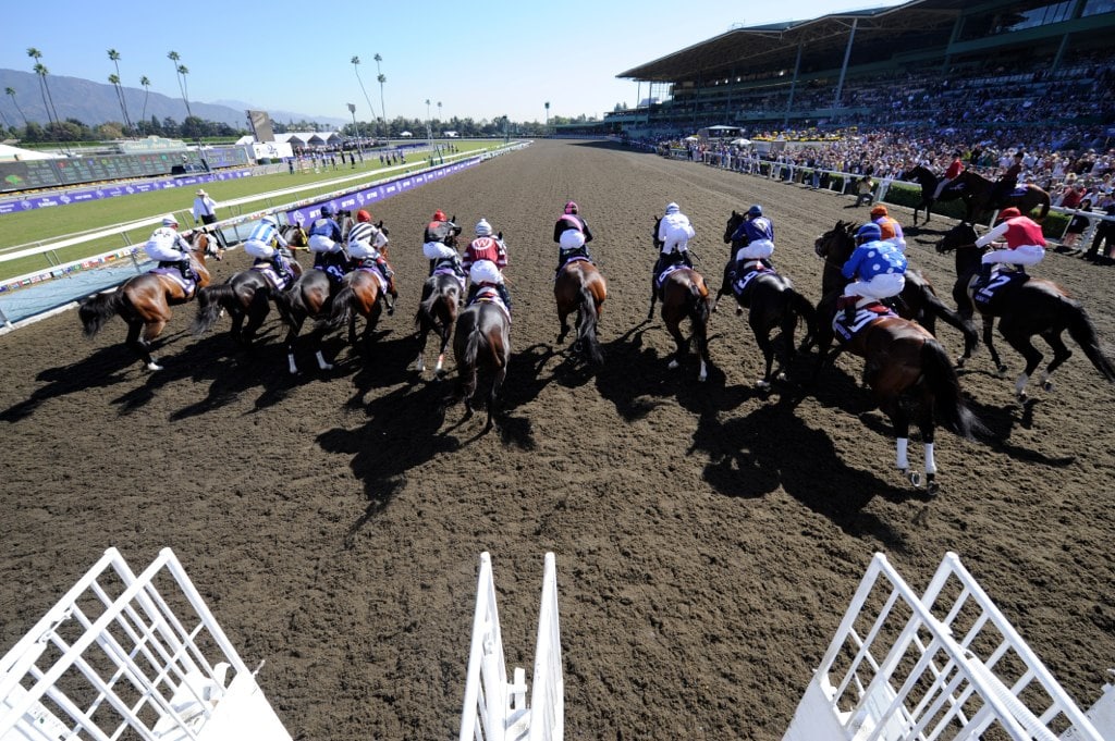 2013 Breeders’ Cup Pre-Entries: Game On Dude Early Classic Favorite
