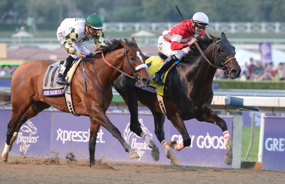Breeders’ Cup Entries, Morning Line Odds