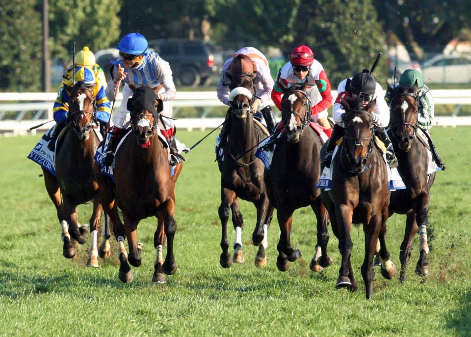 Keeneland Betting: Left a Message Value in Dowager