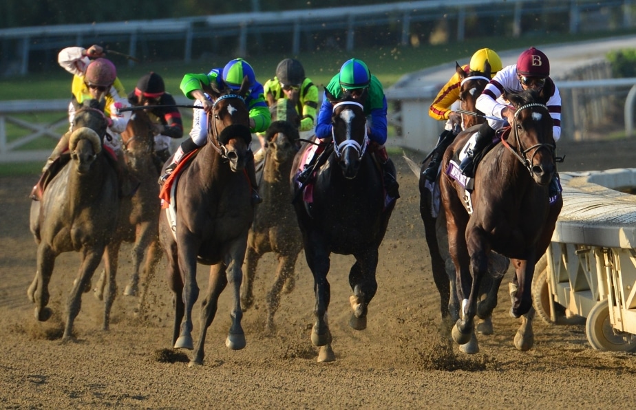 Breeders’ Cup Betting Trends: History Can Repeat