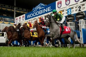 Woodbine hosts a pair of Breeders' Cup "Win and You're In' races on the turf on Saturday.