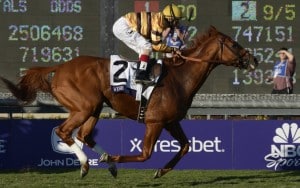 Two-time Horse of the Year Wise Dan is back in training and could race as soon as August.(Photo credit Breeders' Cup Ltd.)
