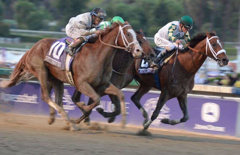 Breeders’ Cup Betting: Classic to Decide Horse of the Year