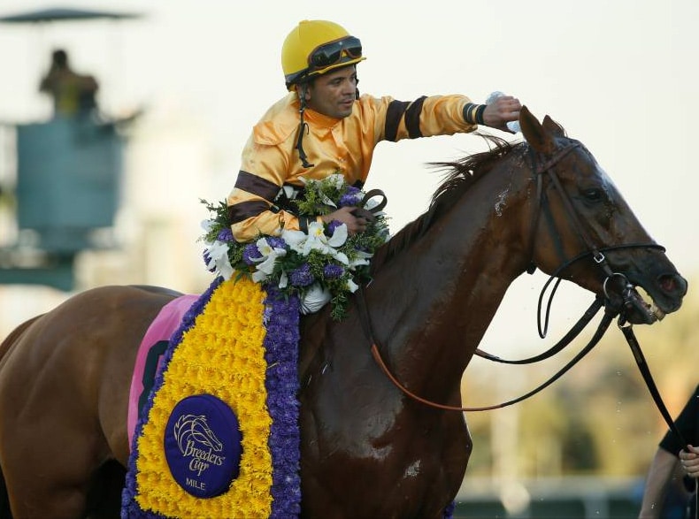 Wise Dan Could Make the Breeders’ Cup a Classic