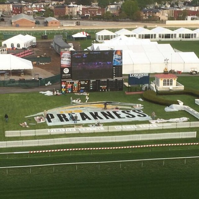 2014 Preakness Betting Odds: California Chrome Early Chalk
