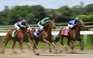 Eight go to the post in Thursday's feature at Saratoga, the $100,000 John Morrissey.  (Photo credit: © Cheryl Quigley | Dreamstime.com)