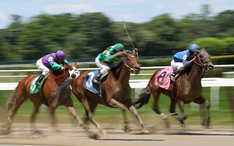 Fields Coming Together for Belmont Stakes Racing Festival