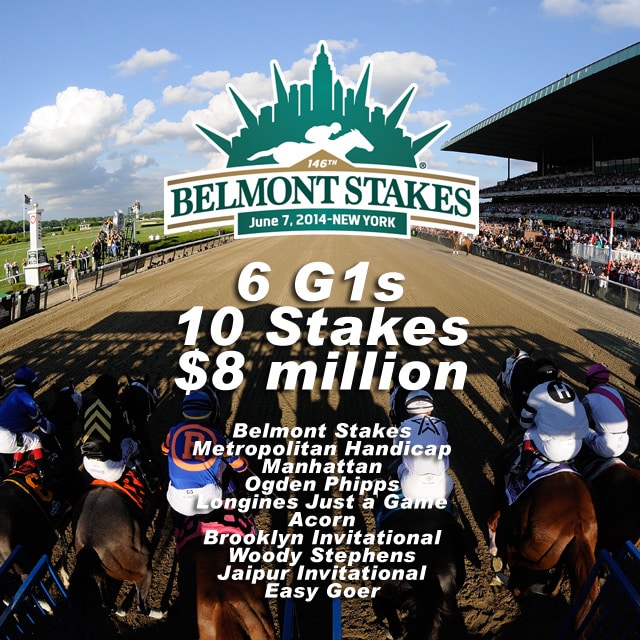 belmontday Horse Racing Reports and News Turfnsport