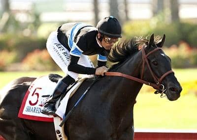 Shared Belief Looks Like Real Deal in Los Alamitos Derby Win