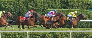 Wednesday's feature at Saratoga is the $100,000 Bolton Landing on turf.(photo credit: © Cheryl Quigley | Dreamstime.com)