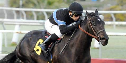 Shared Belief Solidifies Breeders’ Cup Classic Favorite Role