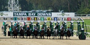 A field of 10 line up in Saturday's $350,000 Tampa Bay Derby (G2) at Tampa Bay Downs (Photo credit: tampabaydowns.com)