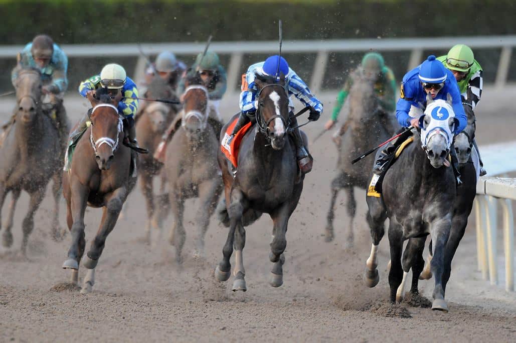 Road to the Derby Recap: Upstart Gets Knocked Out by Stewards