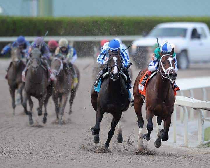 Kentucky Derby Prop Betting: Look for a Knockout