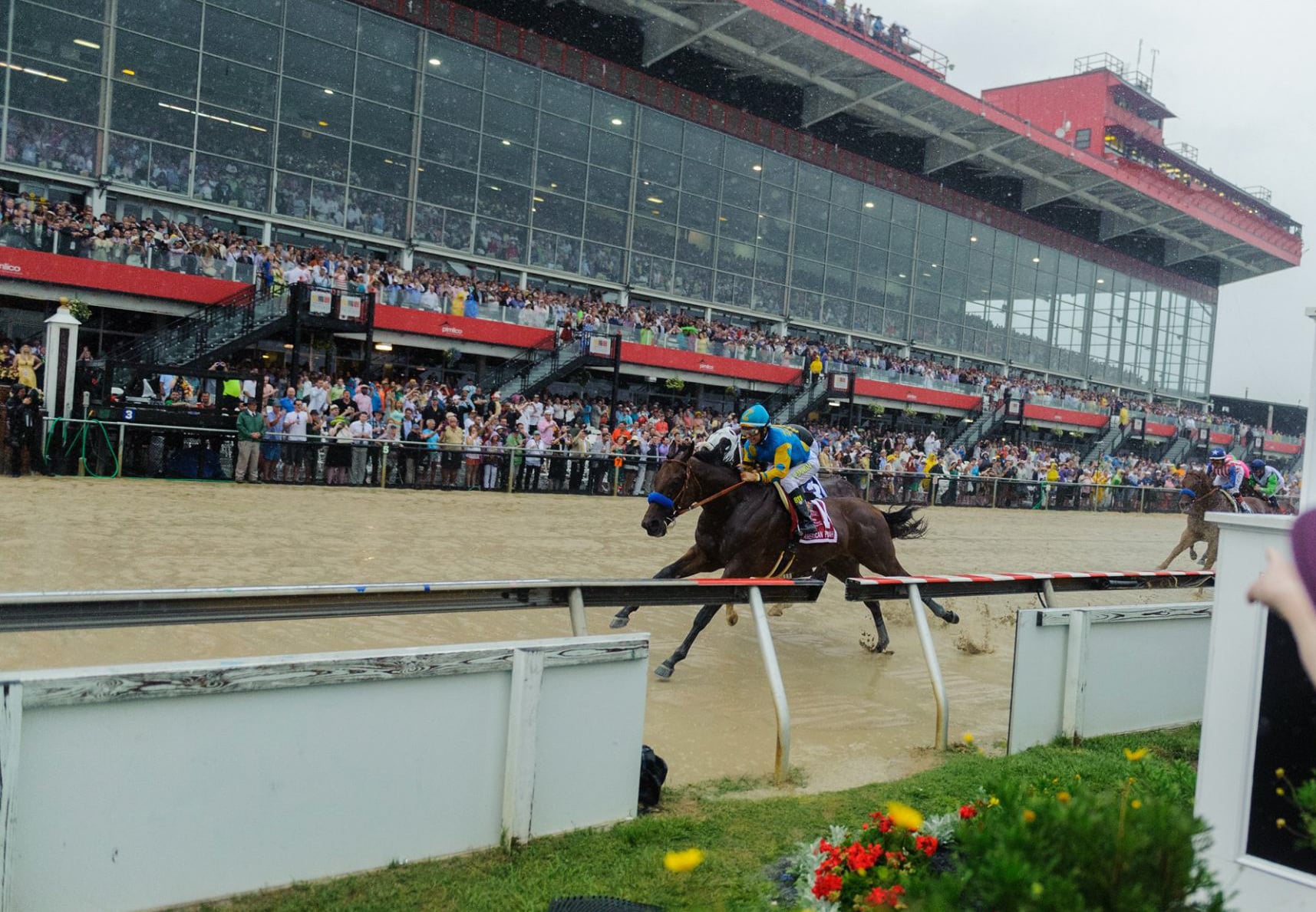 American Pharoah to Face Tough Task in Belmont Stakes
