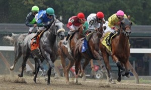 Eight line up in the $$350,000 Vosburgh (G1) at Belmont Park. (Photo credit (Photo credit: © Cheryl Quigley | Dreamstime.com)