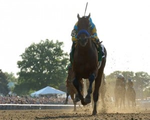 What's next for American Pharoah after his loss in the Travers? (Phoro credit: NYRA)