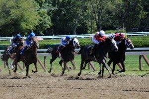 A field of nine including two former winners of the race clash in the $100,000 John Morrissey at the Spa.  (Photo credit: © Bratty1206 | Dreamstime.com)