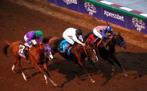 Bayern bests Toast of New York and California Chrome in the 2014 Breeders' Cup Classic (Photo credit: Breeders' Cup Ltd.).