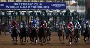 Nine go to the starting gate in the $5 million Breeders' Cup Classic (G1) this afternoon (Photo credit: Breeders' Cup Ltd.).