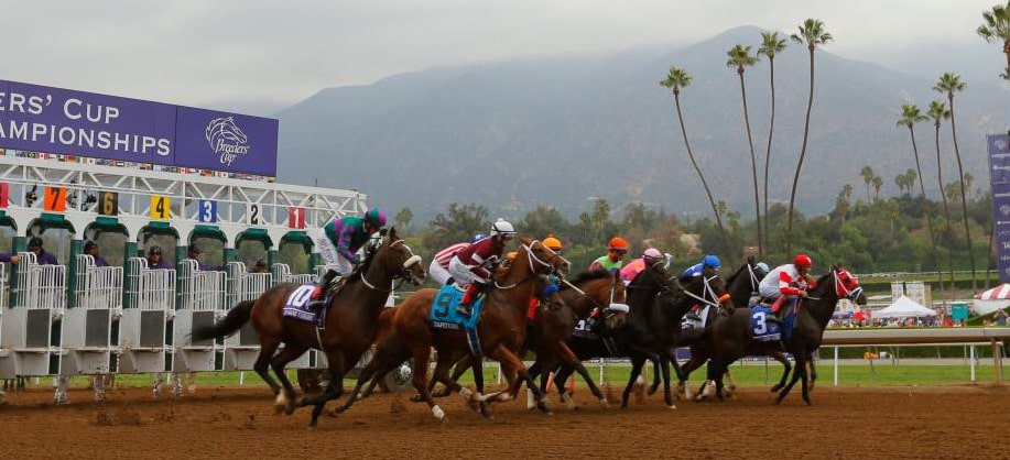 Where to Watch During a Big Week for Breeders’ Cup Preps