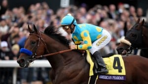 American Pharoah capped off his career with a victory in the Breeders' Cup Classic (Photo credit: Breeders' Cup Ltd.)