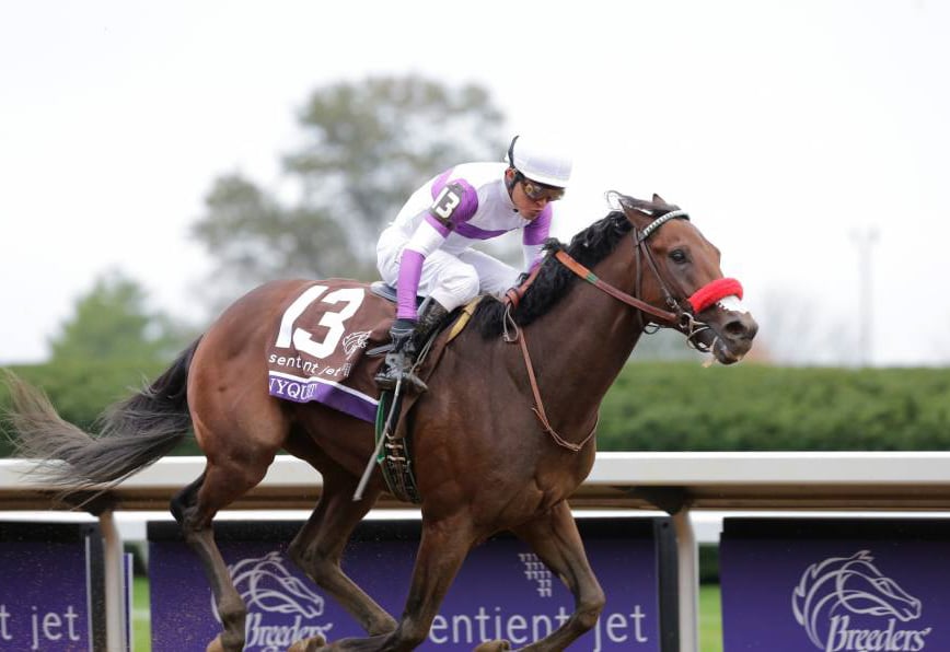 Nyquist Out of Belmont Stakes, Exaggerator Heavy Favorite