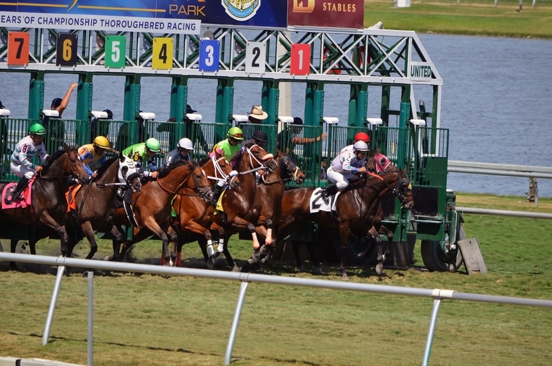 Five Stakes on Tap Saturday at Gulfstream Park