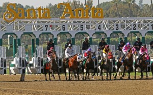 A field of nine line up in Saturday's Sham (G3) at Santa Anita with 17 Derby points up for grabs (Photo credit: © Cheryl Quigley | Dreamstime.com)