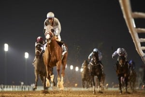 California Chrome is the betting favorite for Saturday's $10 million Dubai World Cup (Photo credit: Dubai Racing Club).