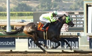 Melatonin stamped his ticket to the Breeders' Cup Classic with his win in the Gold Cup at Santa Anita (Photo credit: Santa Anita Park).